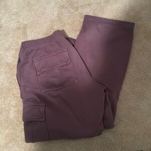 Aritzia TNA cargo sweatpants roasted eggplant
